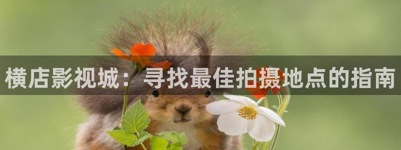 奇优电影手机版高清狂飙