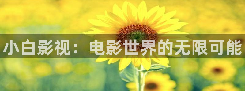 姐妹2在线观看奇优影院